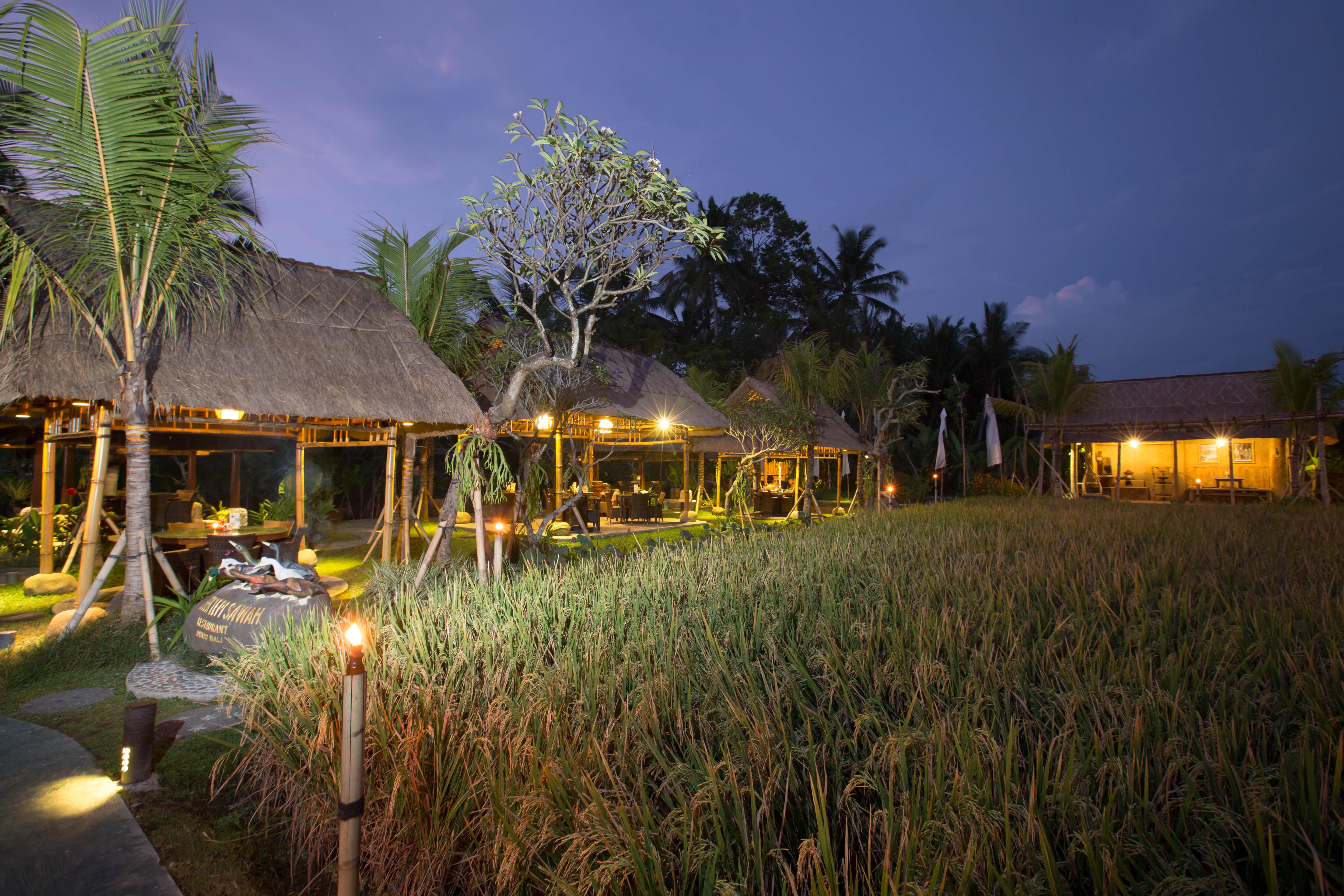 Bebek Tepi Sawah Restaurant & Villas Ubud Exteriér fotografie