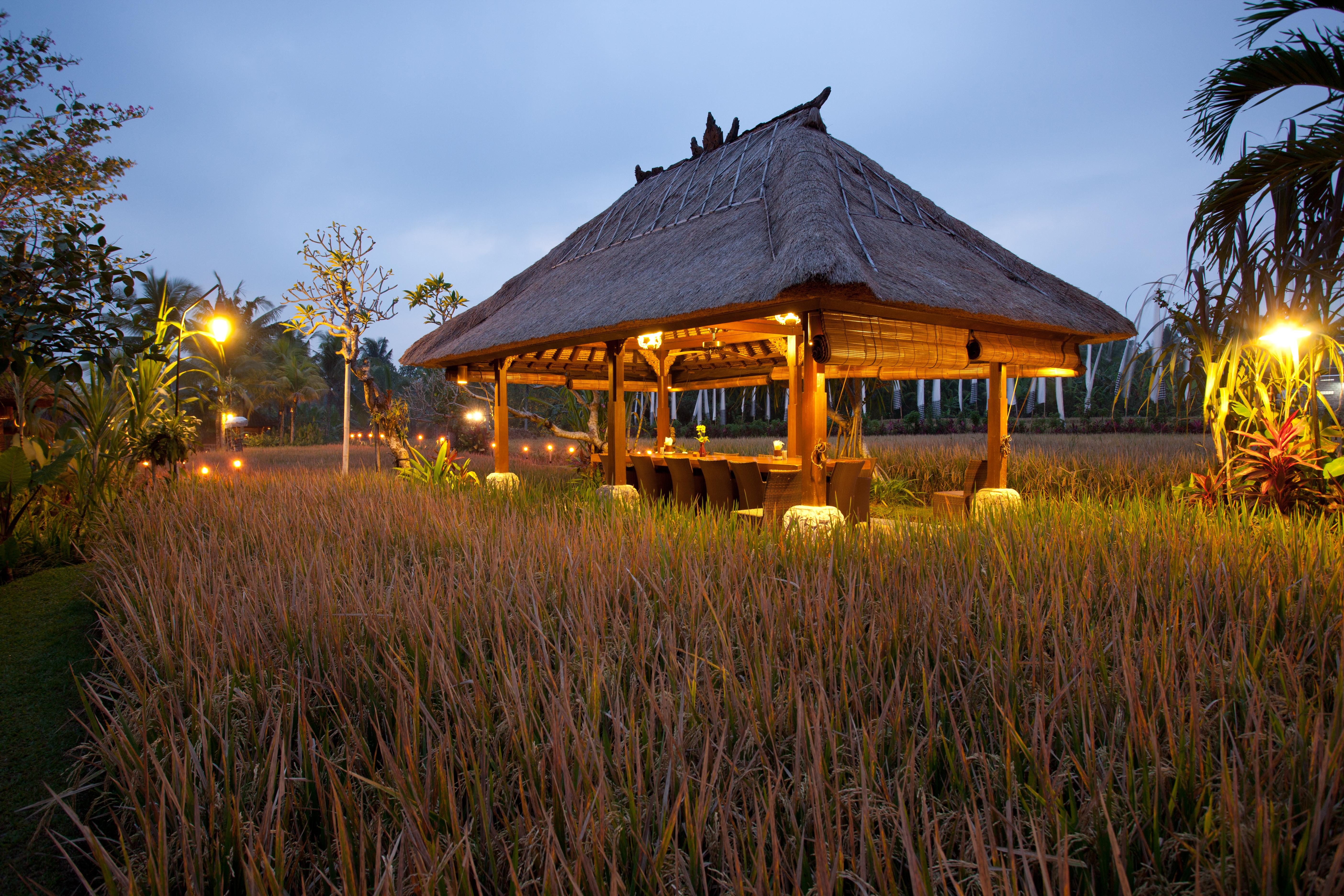 Bebek Tepi Sawah Restaurant & Villas Ubud Exteriér fotografie