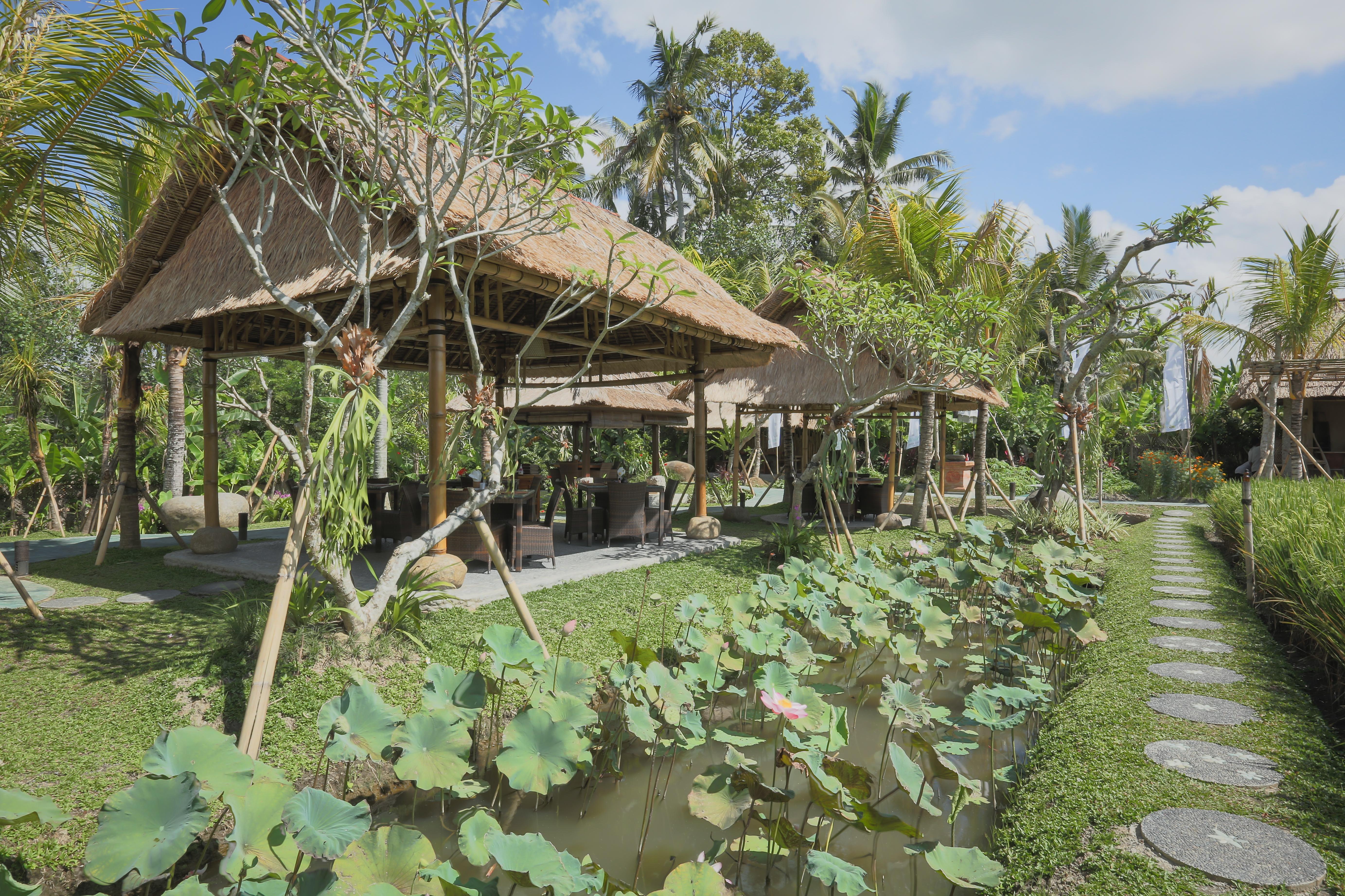 Bebek Tepi Sawah Restaurant & Villas Ubud Exteriér fotografie