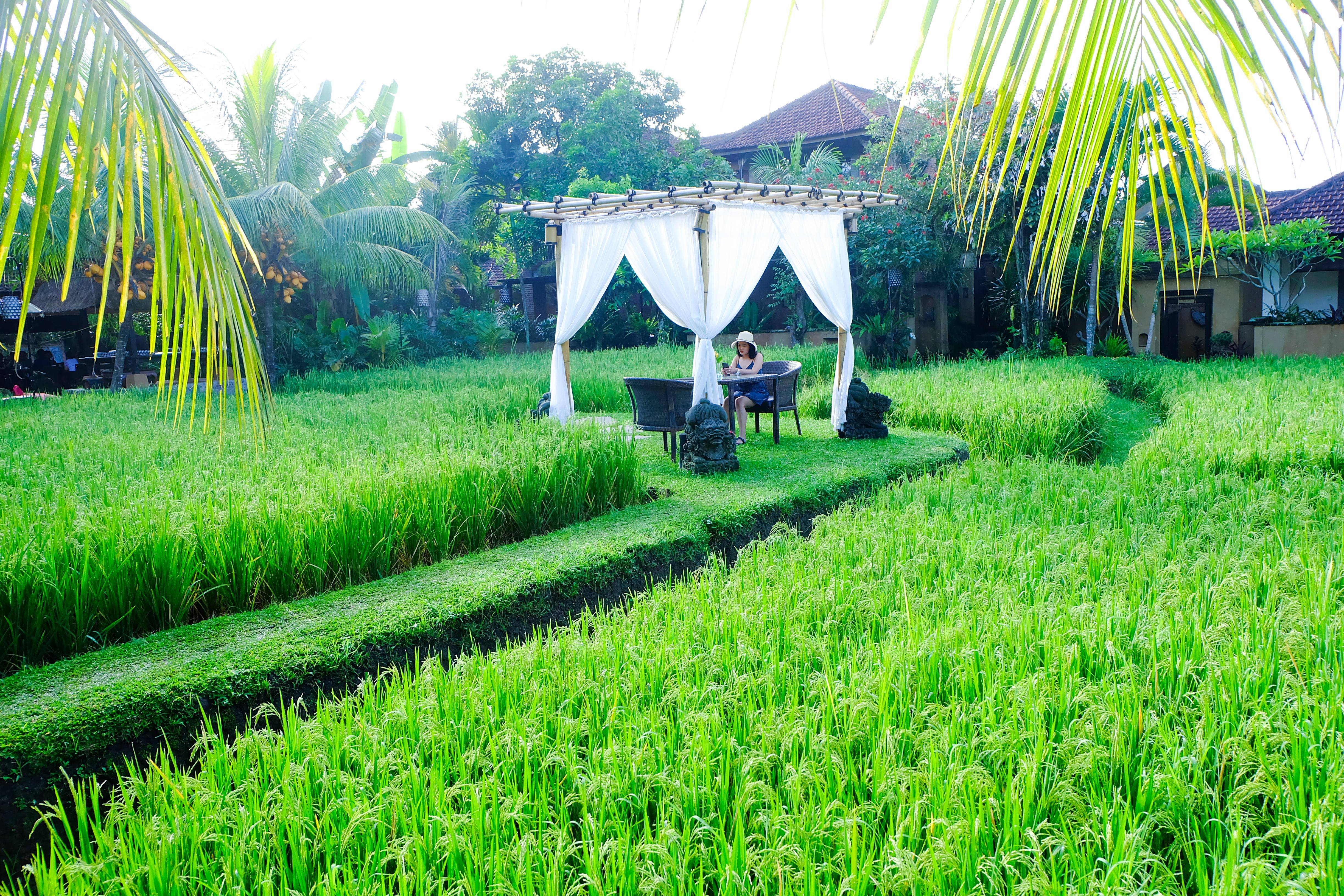 Bebek Tepi Sawah Restaurant & Villas Ubud Exteriér fotografie