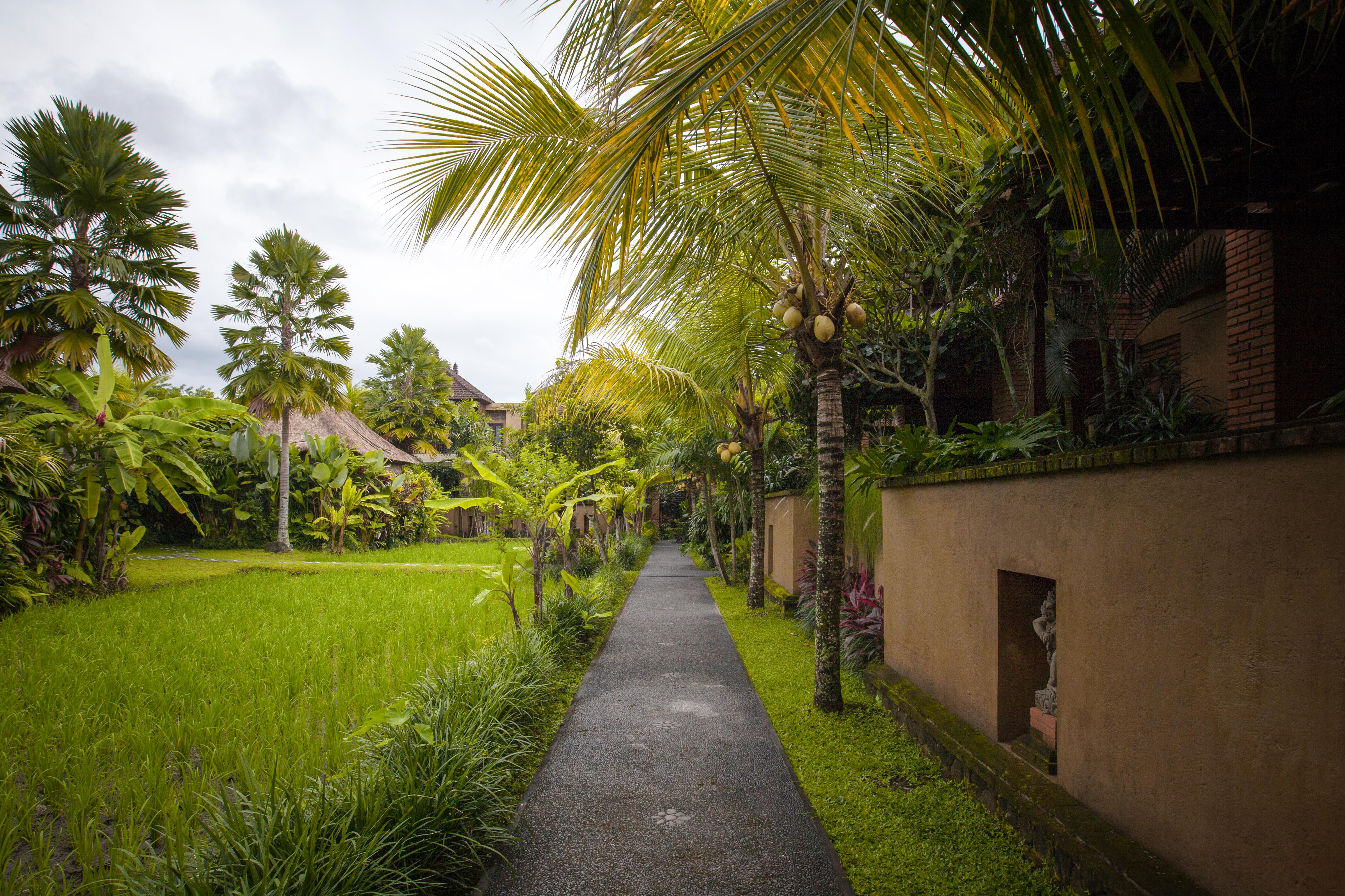 Bebek Tepi Sawah Restaurant & Villas Ubud Exteriér fotografie