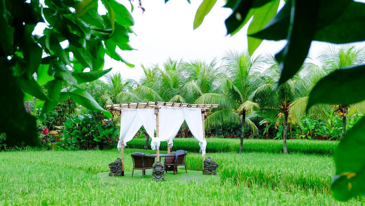 Bebek Tepi Sawah Restaurant & Villas Ubud Exteriér fotografie