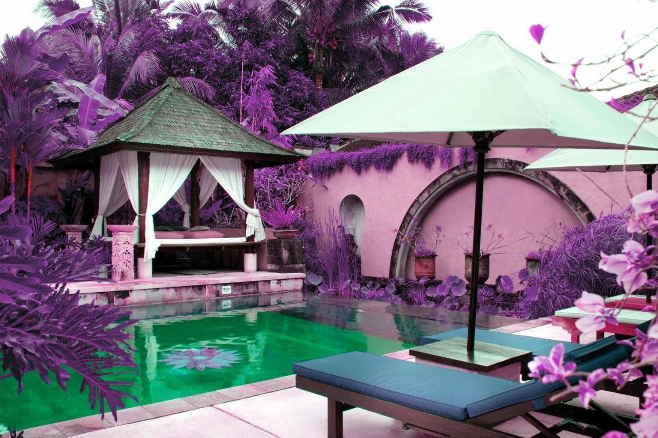 Bebek Tepi Sawah Restaurant & Villas Ubud Pokoj fotografie